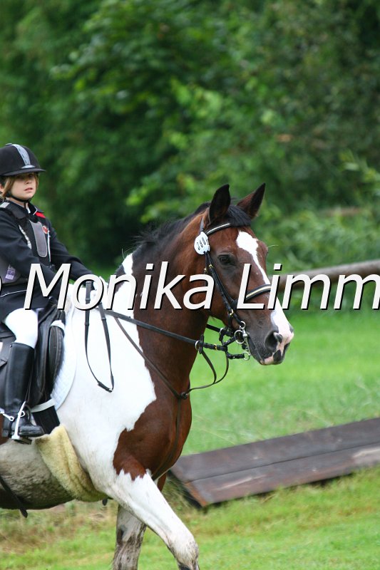 007L7355_Honey Moon_Springreiter WB.JPG